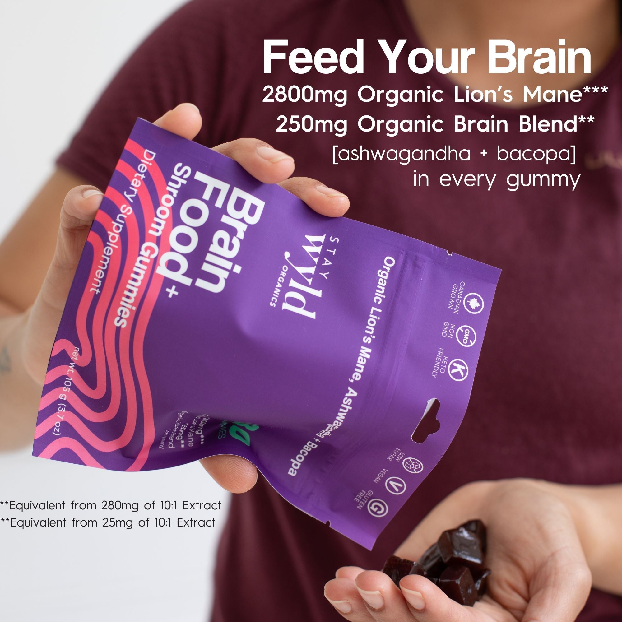 Brain Food Mushroom Gummies