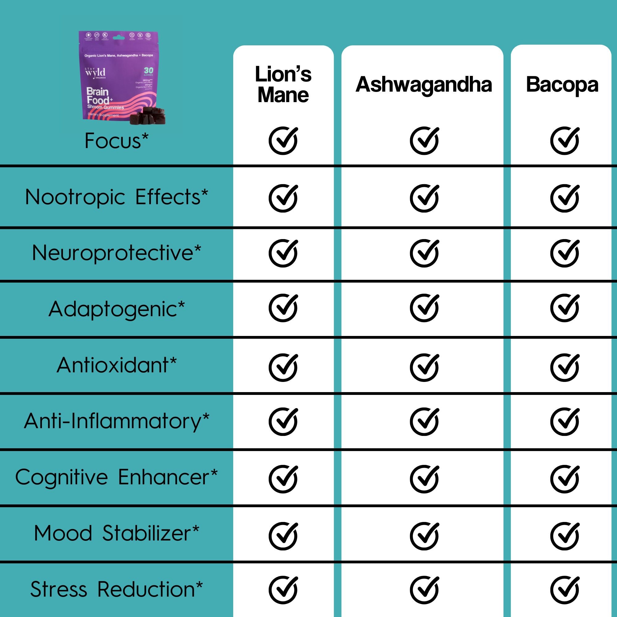 Brain Food Mushroom Gummies