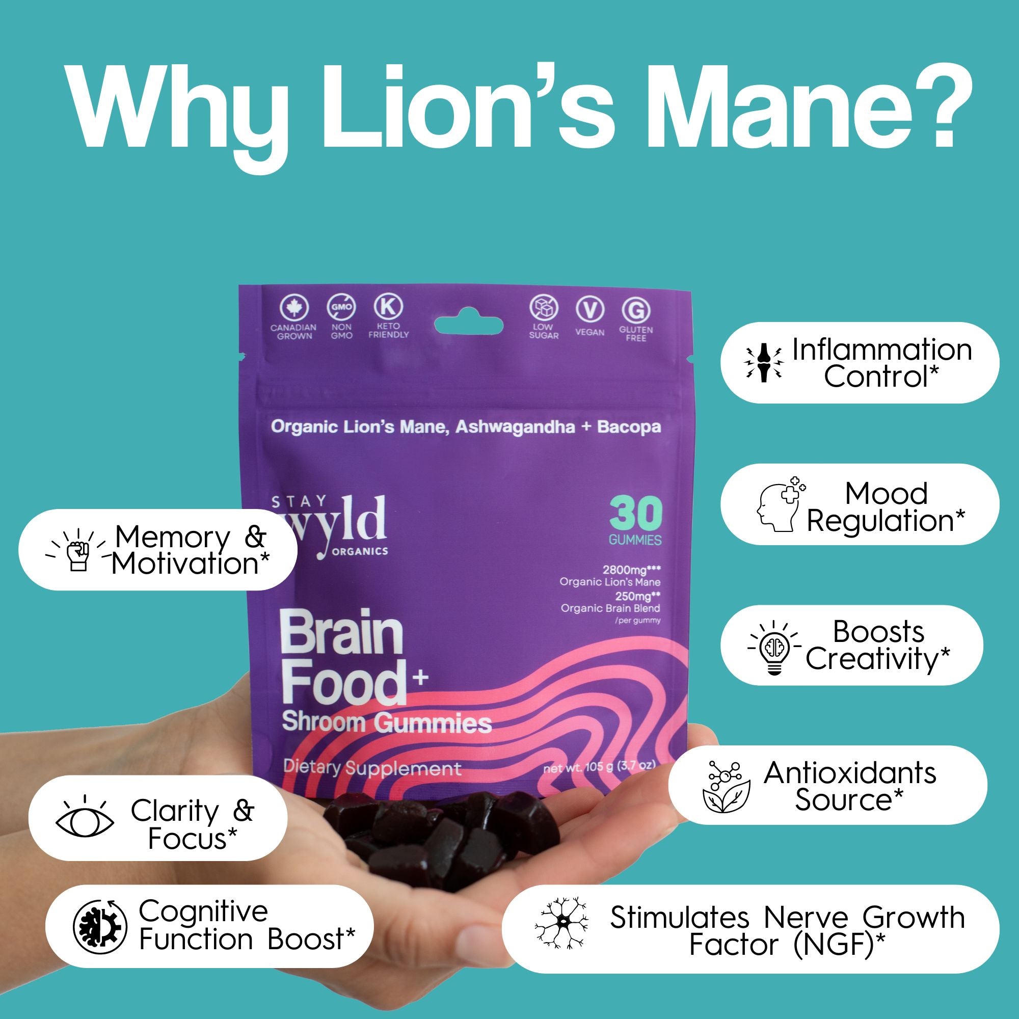 Brain Food Mushroom Gummies