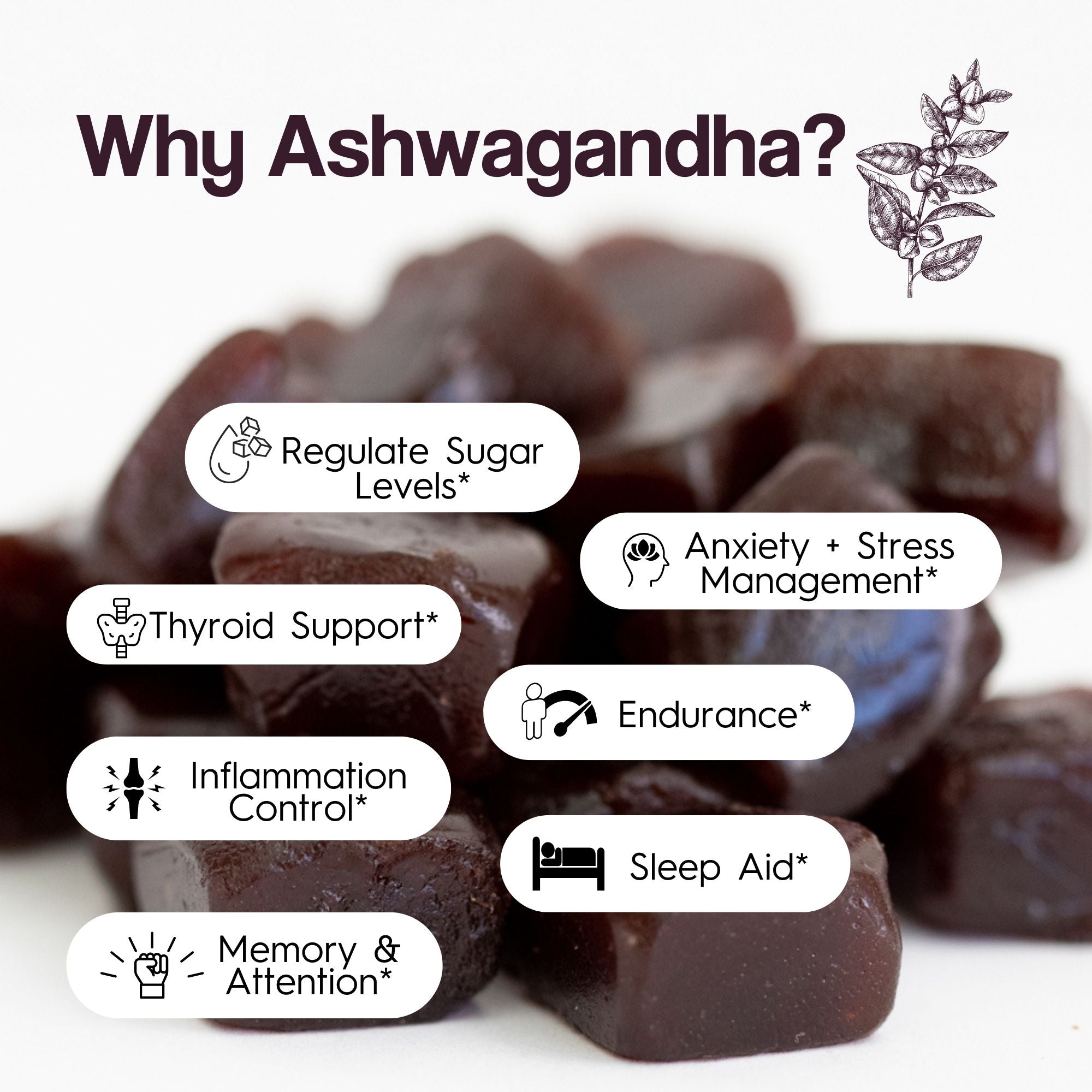 Brain Food Mushroom Gummies