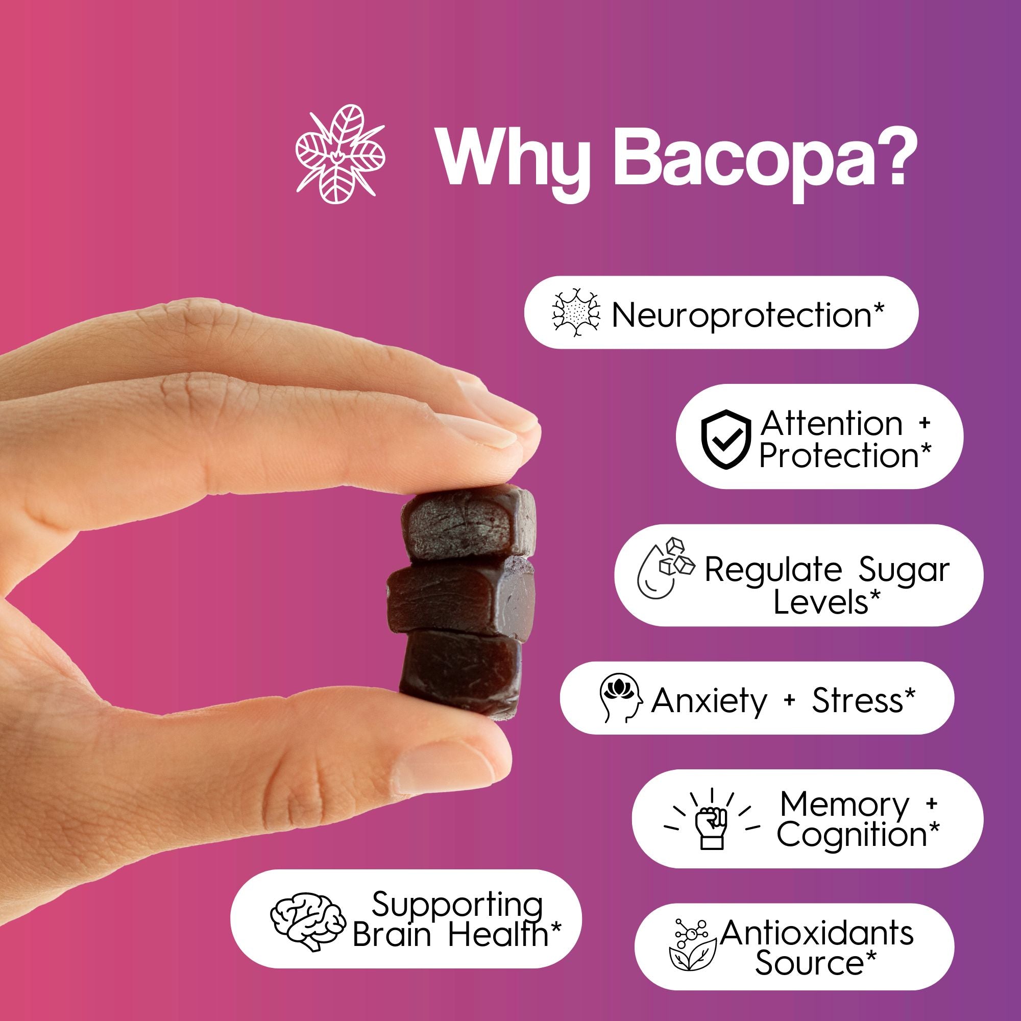 Brain Food Mushroom Gummies