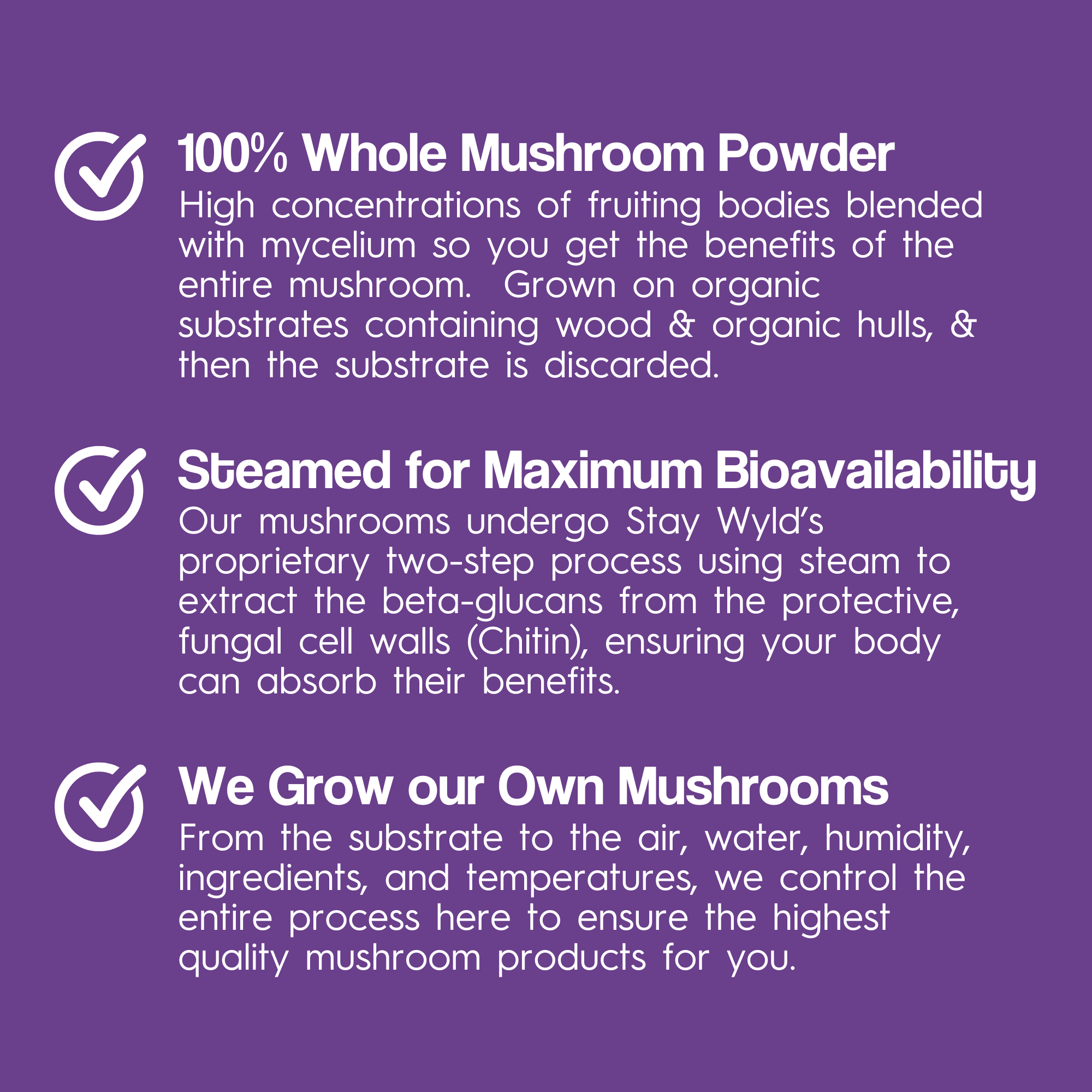 Turkey Tail Mushroom Capsules