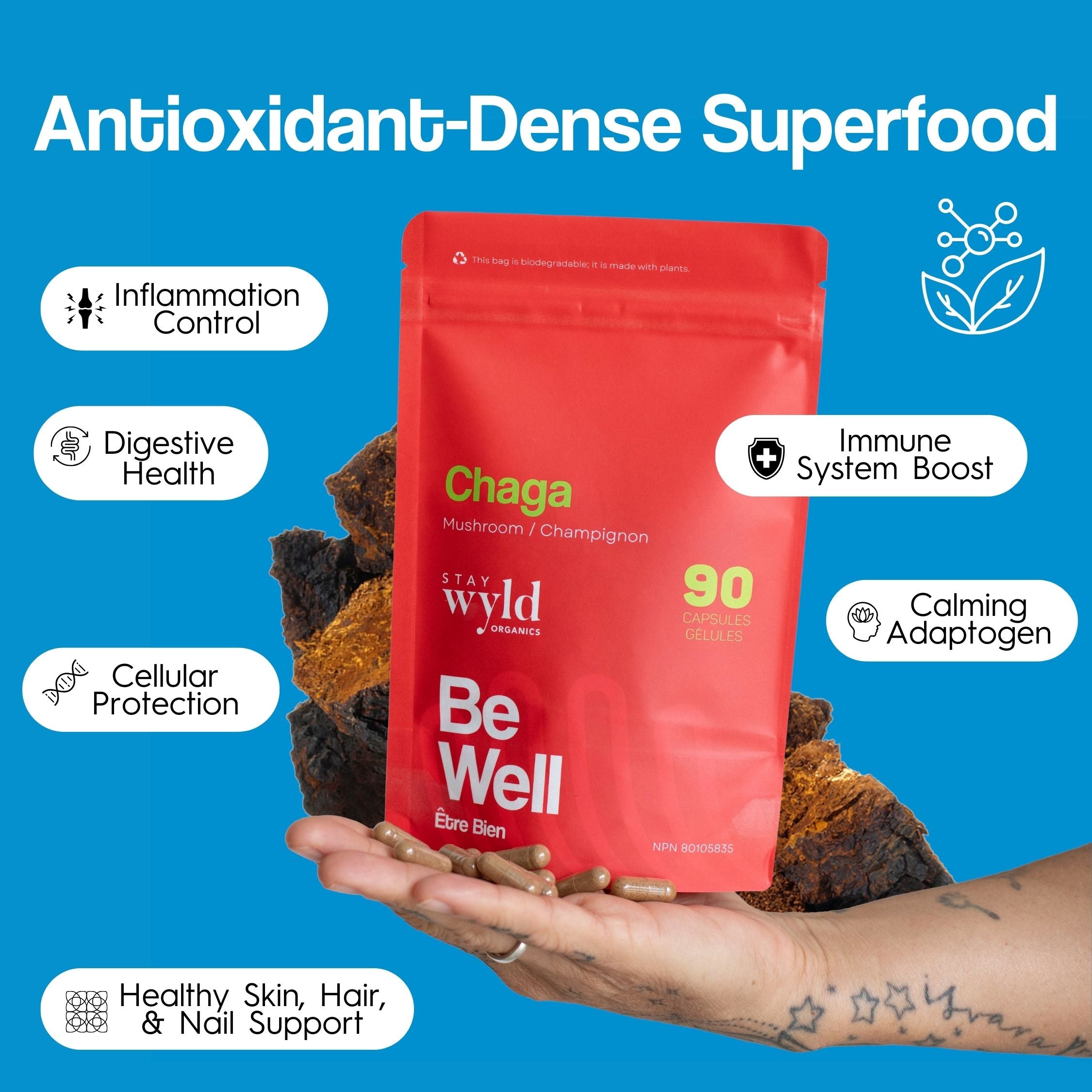 Chaga Mushroom Capsules