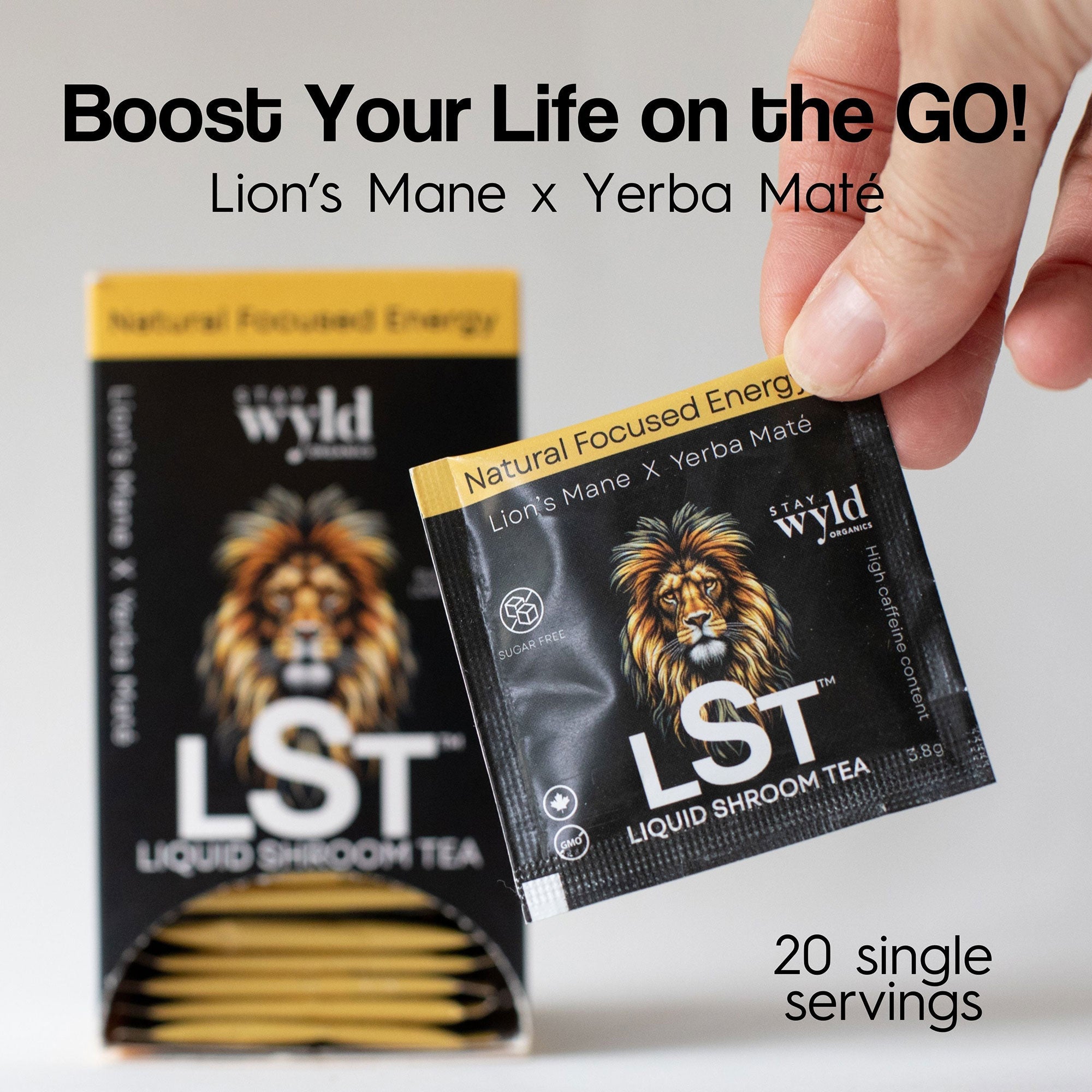 Lion’s Mane X Yerba Maté Ice Tea - LST