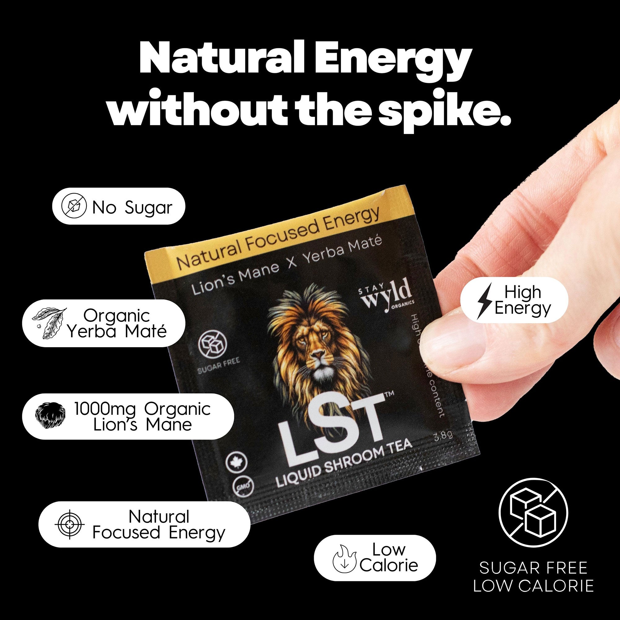 Lion’s Mane X Yerba Maté Ice Tea - LST