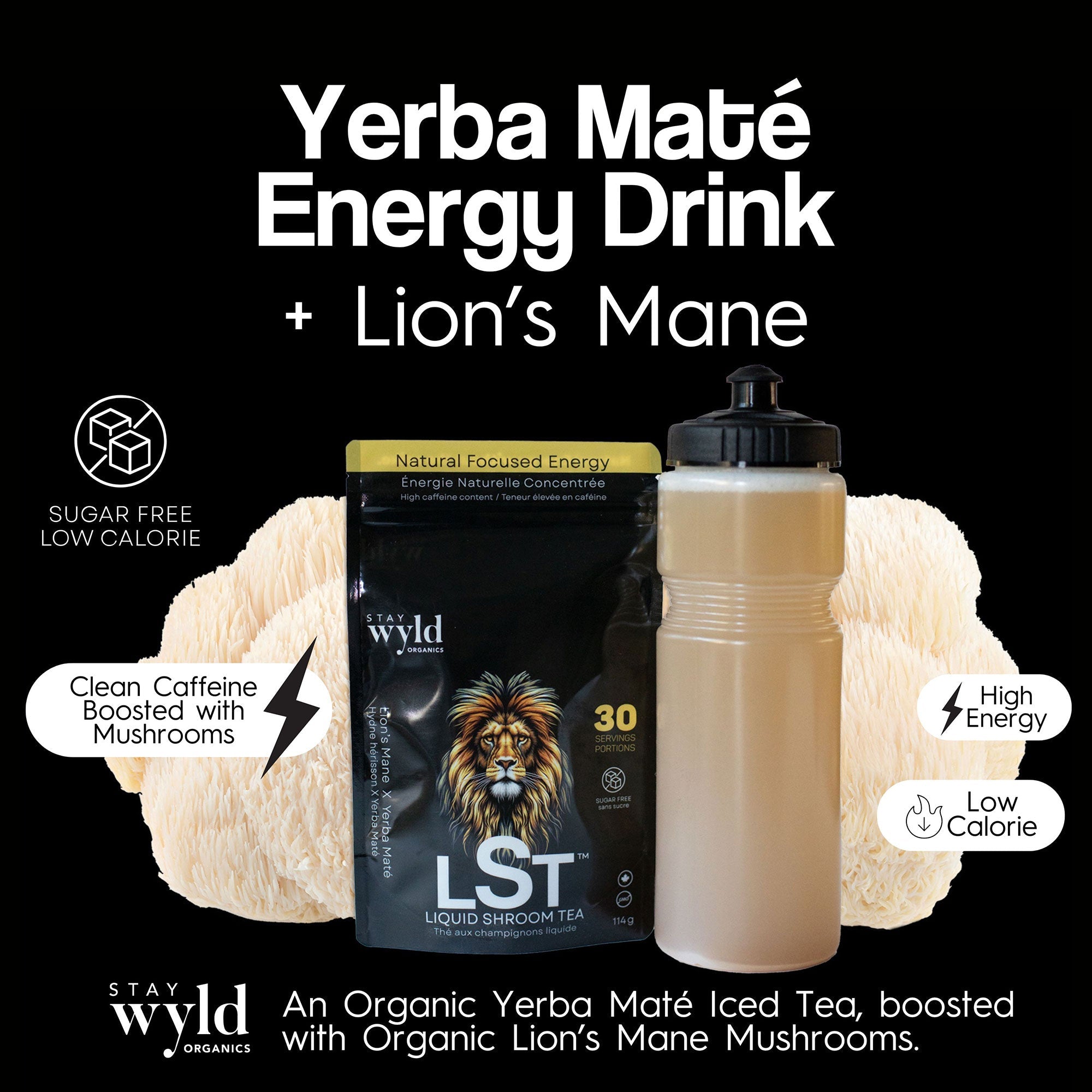 Lion’s Mane X Yerba Maté Ice Tea - LST