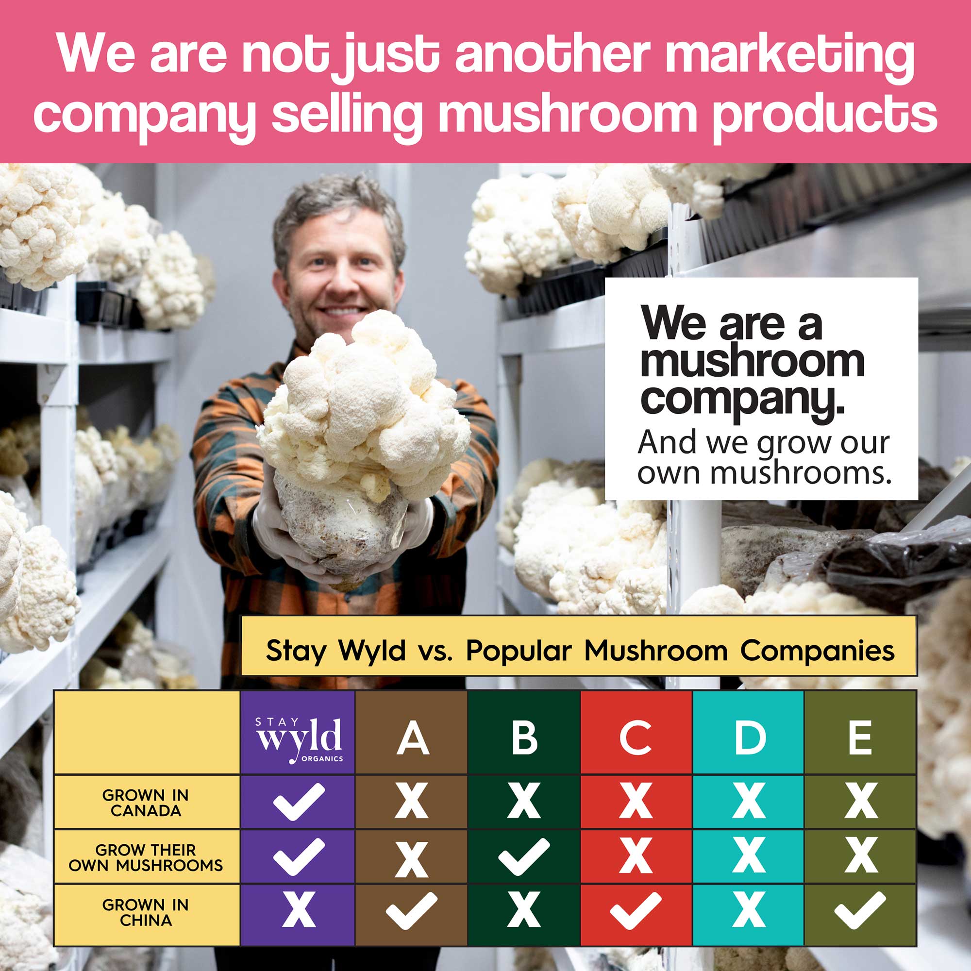 Lion's Mane Mushroom Capsules