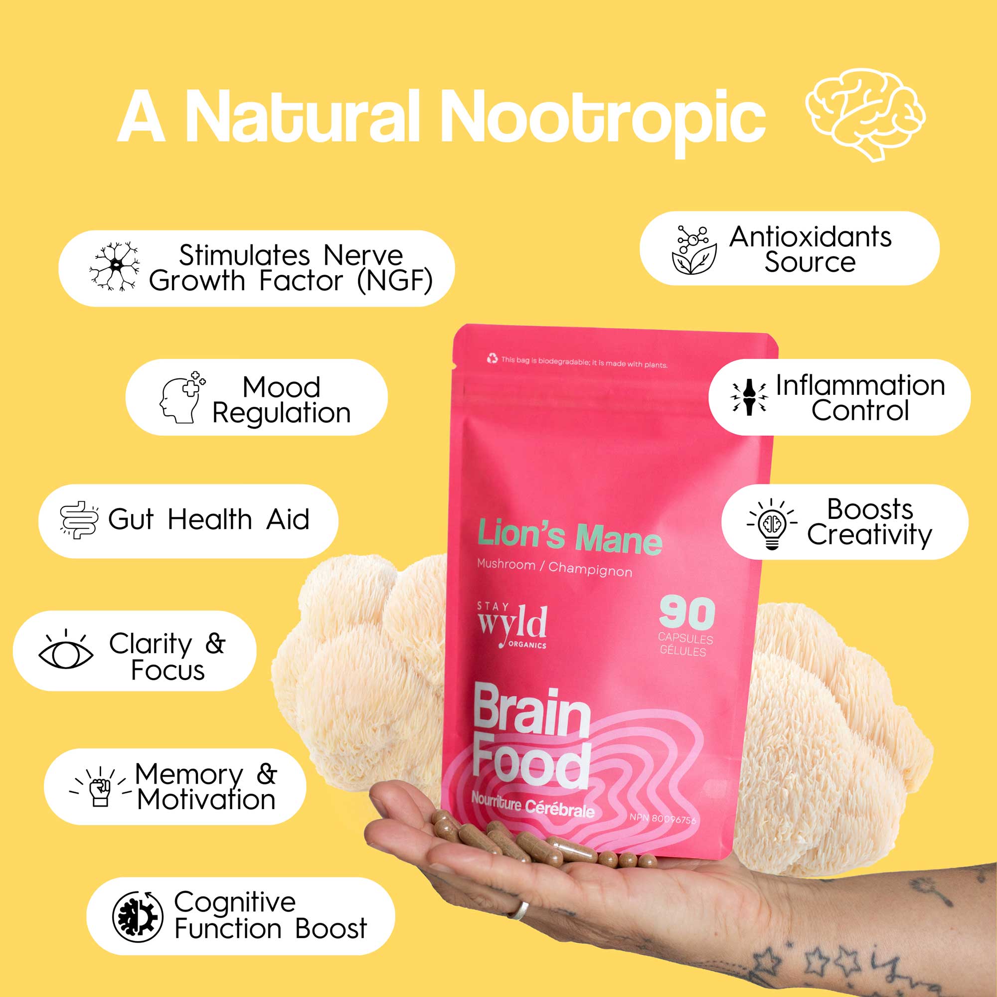 Lion's Mane Mushroom Capsules