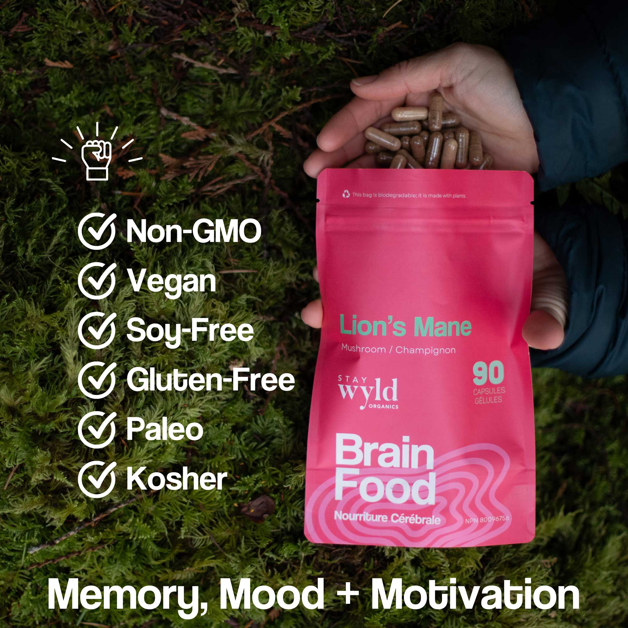 Lion's Mane Mushroom Capsules