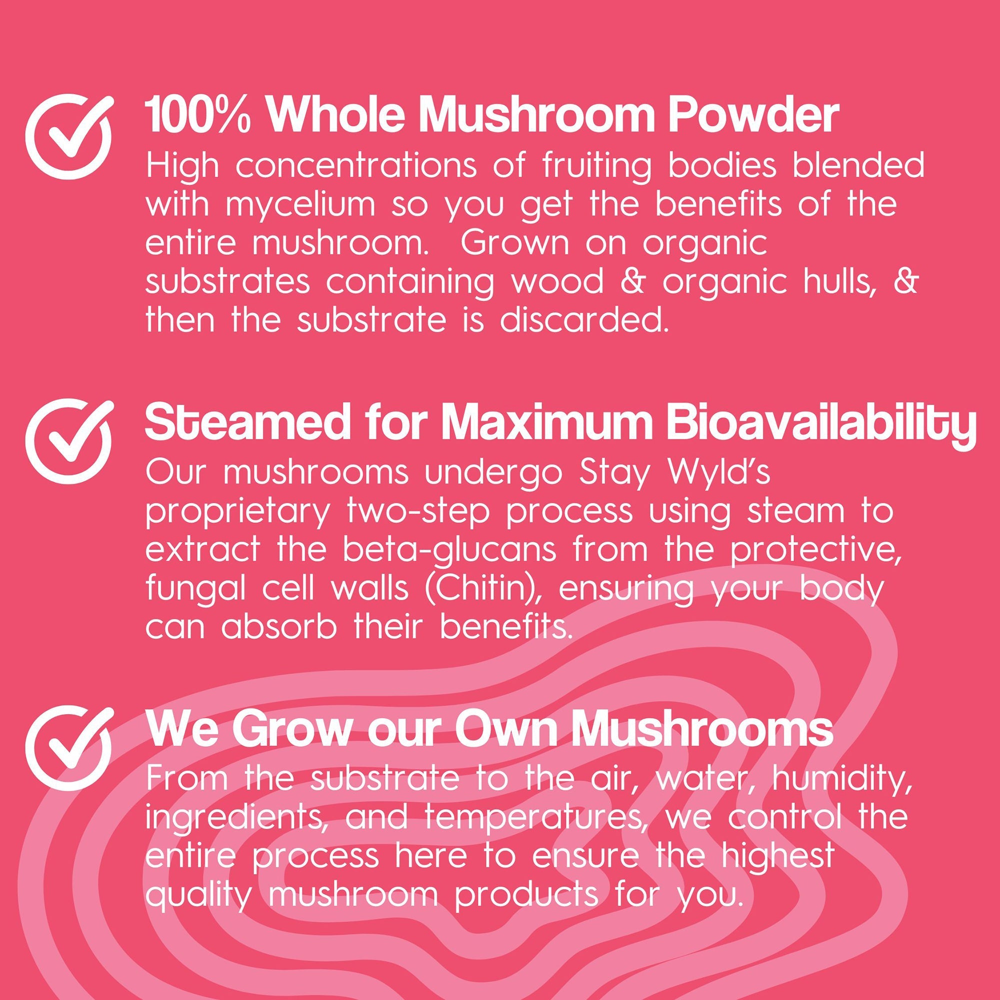 Lion's Mane Mushroom Capsules